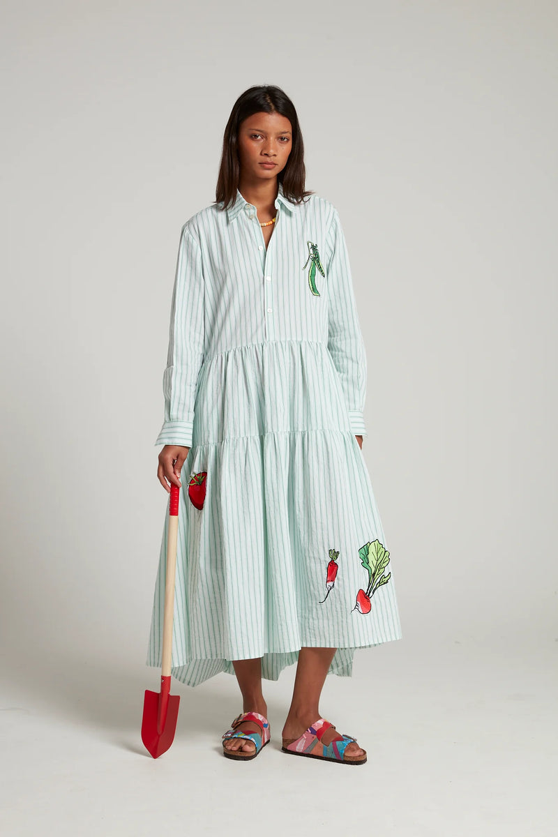 Sorrel Shirt Dress
