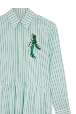 Sorrel Shirt Dress
