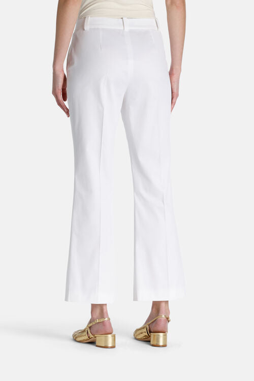 Attiguo Cotton Chino